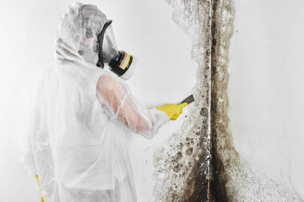 Best Post-Flood Mold Remediation in Sleepy Hollow Lake, NY
