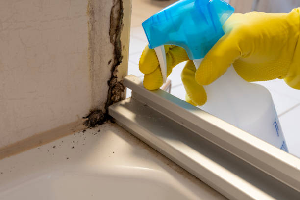 Best Bathroom Mold Remediation in Sleepy Hollow Lake, NY