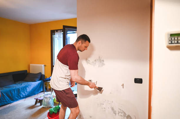 Sleepy Hollow Lake, NY Mold Remediation Company