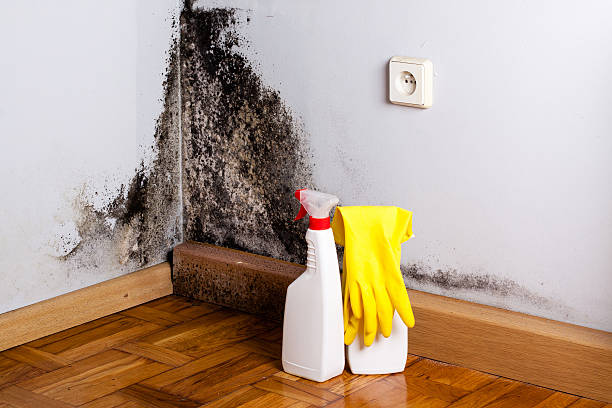 Best HVAC Mold Remediation in Sleepy Hollow Lake, NY